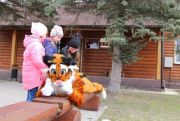 IMG_4521.JPG