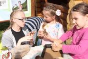 IMG_7593.JPG