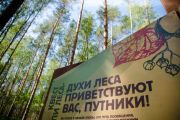 Экосистемы заповедника, Мордов Медиа.jpeg