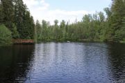 Павловский пруд
