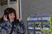 Послушай голоса лягушек