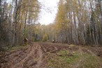 DSC03943 1